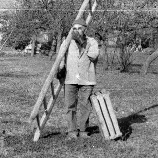 People pruning trees in an orchard.