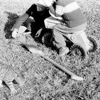 A child plays with a cat on grass.