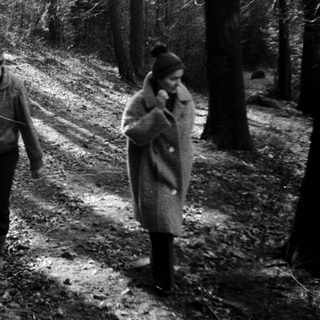 Family hiking in a forest during autumn.
