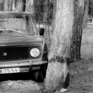 Four children sitting in open car trunk in forest.
