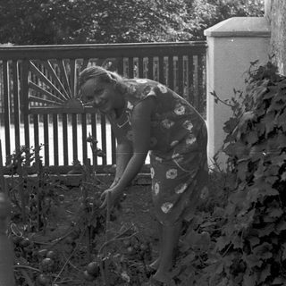 Woman gardening near a fence.