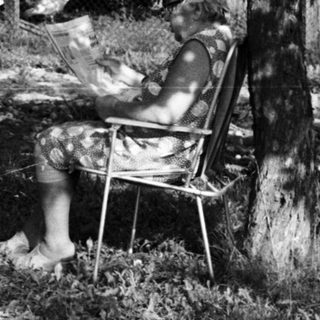 Person relaxing in garden chair under tree.