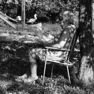 Person relaxing in garden chair under tree.