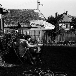 Person knitting outdoors in a backyard garden.