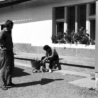 Two men outdoors, one bending to pet dog.