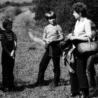Family picnic or outing in rural countryside.