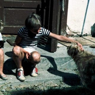 Rural scene: woman with children and dog outside.