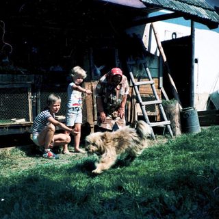 Children interacting with farm animals outdoors.
