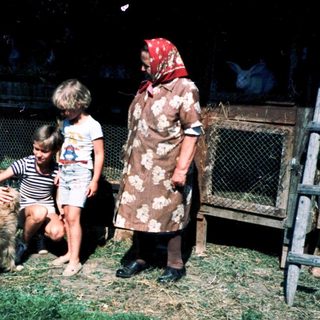 Rural scene: woman, children petting dog near farm structures.
