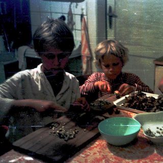 Three people preparing food together indoors.
