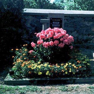 Tended grave adorned with vibrant flowers.