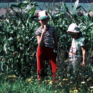 Two people standing in a cornfield near a lake.