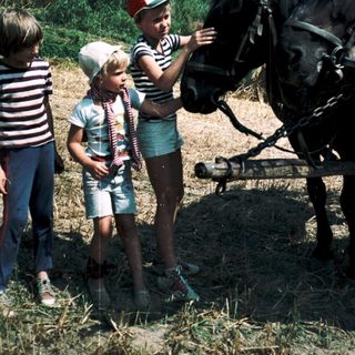 Children petting a horse-drawn cart in rural setting.