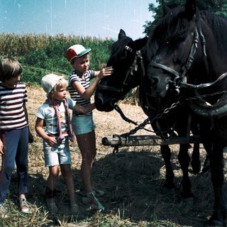 Children petting a horse-drawn cart in rural setting.