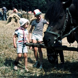 Children interacting with hay and horses on farm.