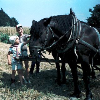 Rural scene with child and adult posing beside hay bale and harnessed horse.