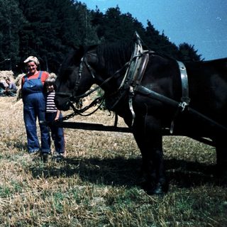 Family posing with horse-drawn hay wagon in rural field.