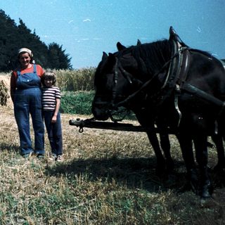 Family posing with horse-drawn hay wagon in rural field.