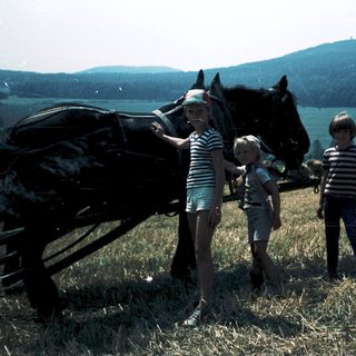 Three children petting horse in rural countryside.
