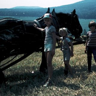 Three children petting horse in rural countryside.