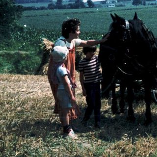 Rural scene with two children petting harnessed horses in a field.