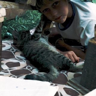 Child petting cat in grassy outdoor area.