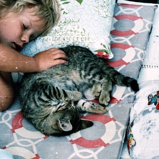 Child and cat peacefully sleeping together.