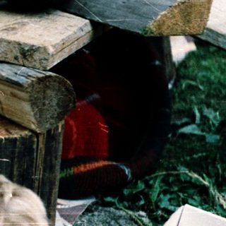 Child resting on picnic blanket outdoors with cat nearby.