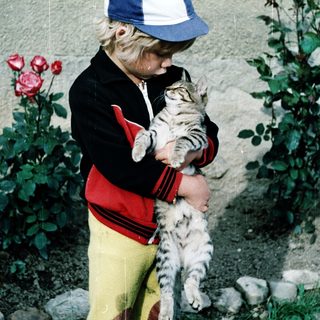 Child holding striped cat outdoors near plants.