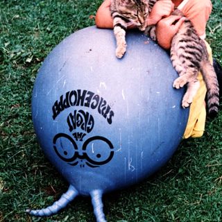 A child plays with a cat on a blue exercise ball.