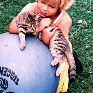A child plays with a cat on a blue exercise ball.