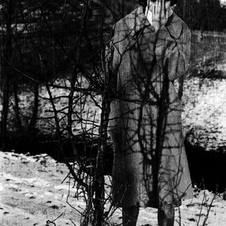 Person standing in winter landscape, reflected in bare trees.