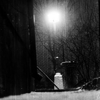 Snowy night scene with street lamp illuminating bare trees.