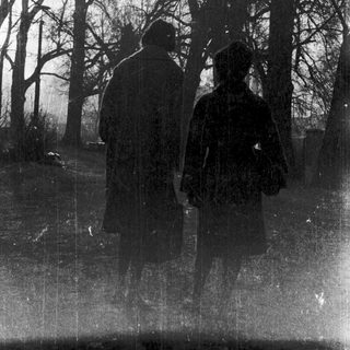 Two figures walking in a foggy, leafless forest.