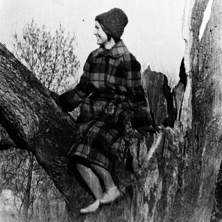 Child sitting on tree branch outdoors.