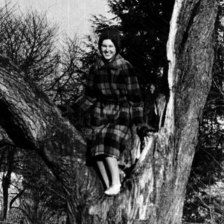 A person sliding down a tree trunk.