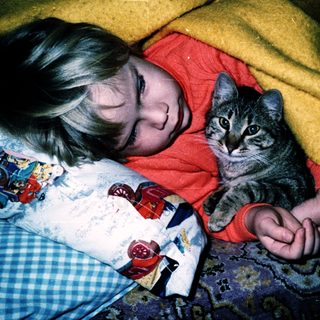 A person and a kitten resting together on a bed.