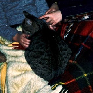 Two children playing with a cat indoors.