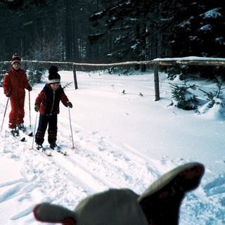 Three people cross-country skiing in snowy forest.