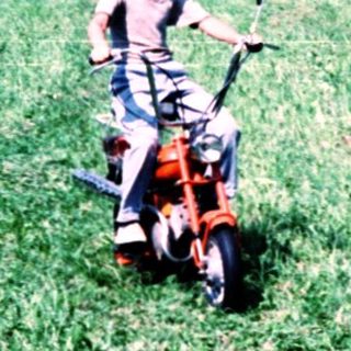 Child riding small lawn mower in grassy orchard.