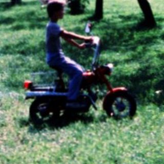 Rural landscape with person mowing grass near orchard.