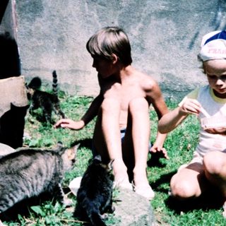 Two children interacting with cats outdoors.