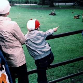 Three people observing zoo animals through fence.