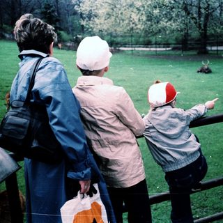 Three people observing zoo animals through fence.