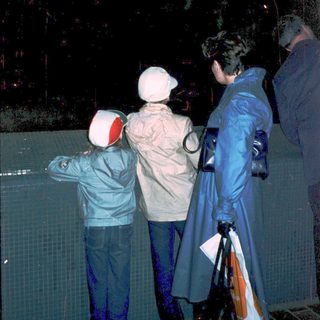 People watching outdoor ice skating under night lights.