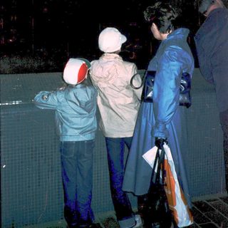 People watching outdoor ice skating under night lights.