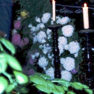 Funeral service with casket draped in flowers.