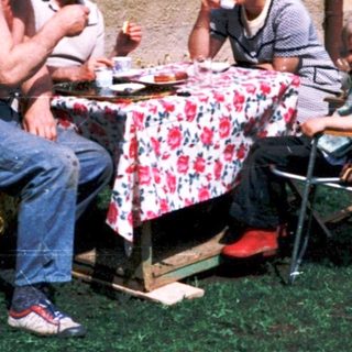 Family picnic outside in backyard.
