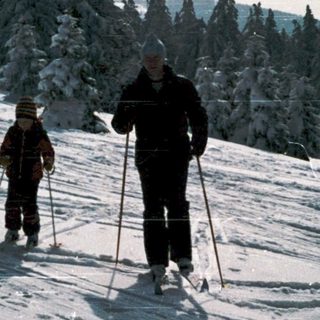 Two people cross-country skiing in snowy forest.