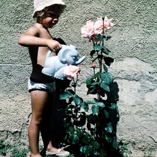 Young girl waters roses with stuffed elephant toy.
